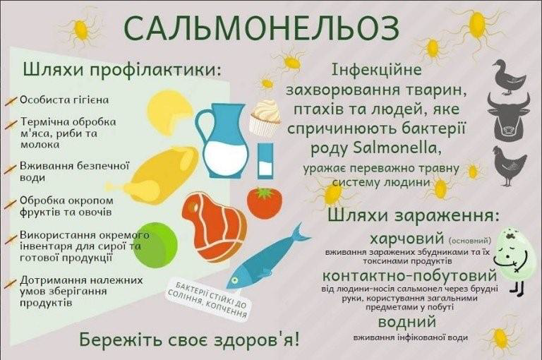 Як запобігти захворюванню на сальмонельоз